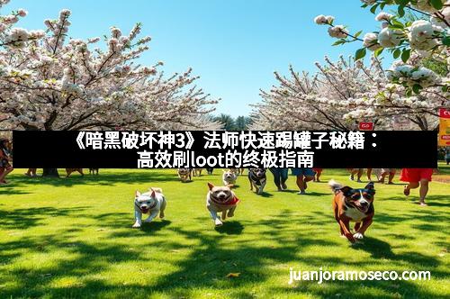 《暗黑破坏神3》法师快速踢罐子秘籍：高效刷loot的终极指南